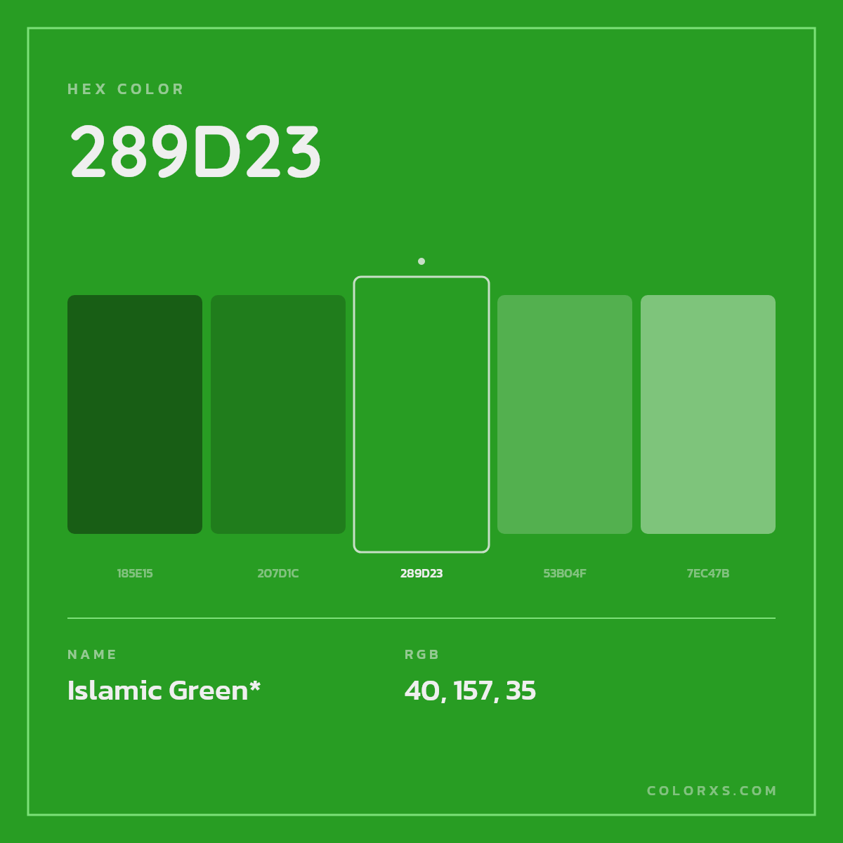 #289D23 hex color. RGB, RYB, CMYK, HSL, HSV codes and color conversions. Matching color names, palettes, paints.
