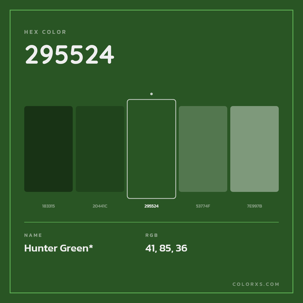 #295524 hex color. RGB, RYB, CMYK, HSL, HSV codes and color conversions. Matching color names, palettes, paints.