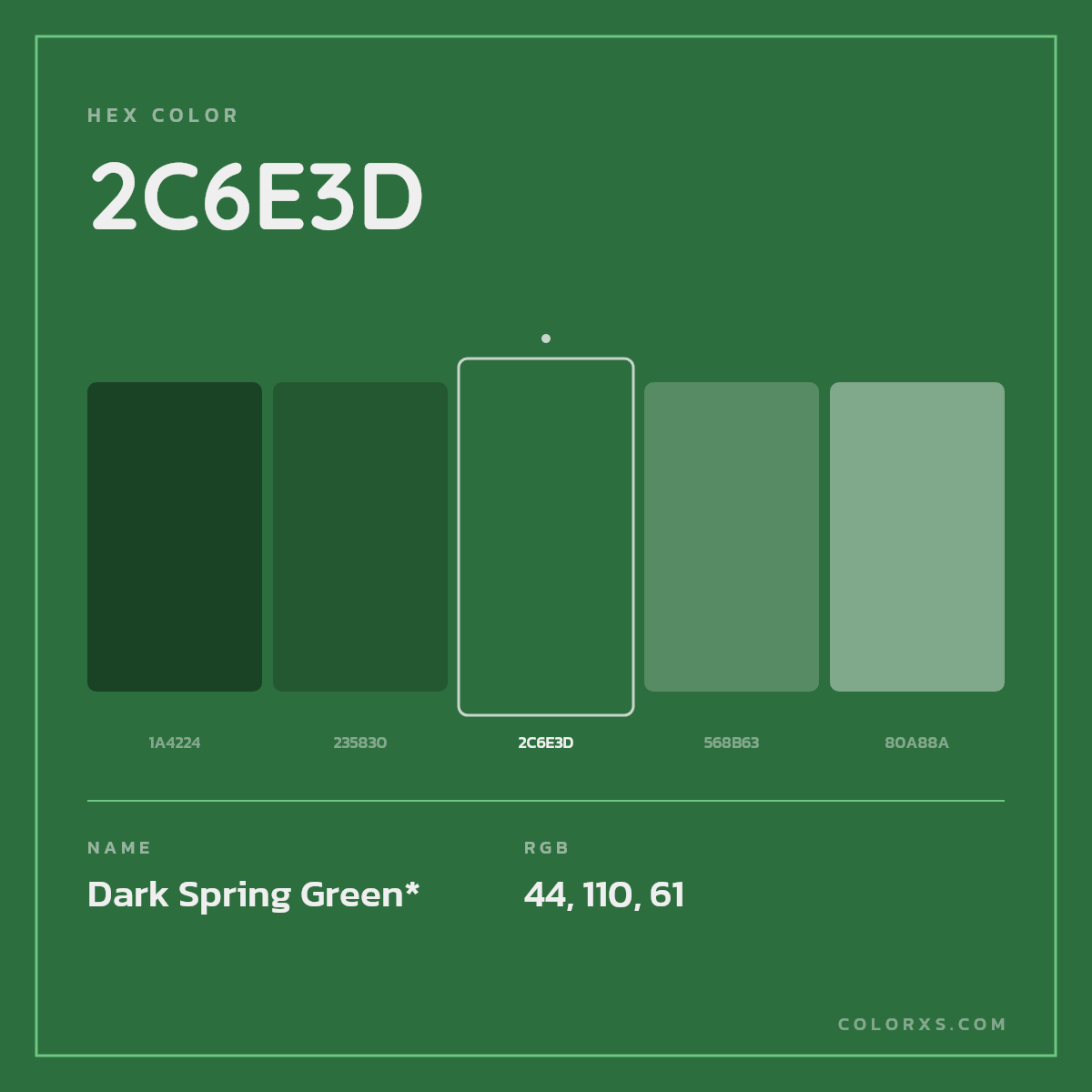 #2C6E3D hex color. RGB, RYB, CMYK, HSL, HSV codes and color conversions. Matching color names, palettes, paints.