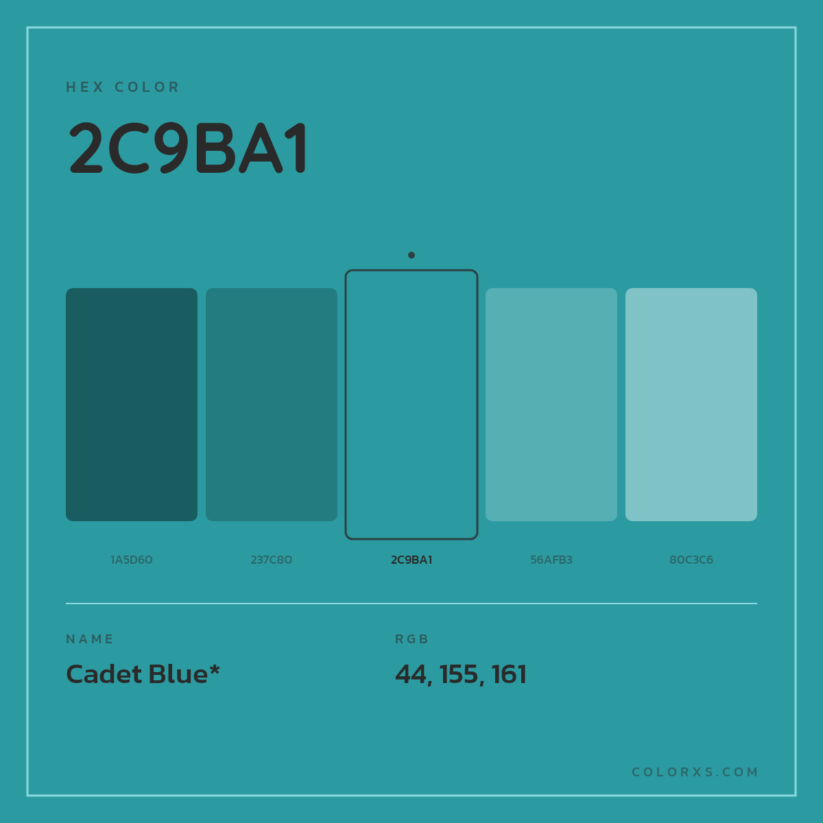 #2C9BA1 hex color. RGB, RYB, CMYK, HSL, HSV codes and color conversions. Matching color names, palettes, paints.