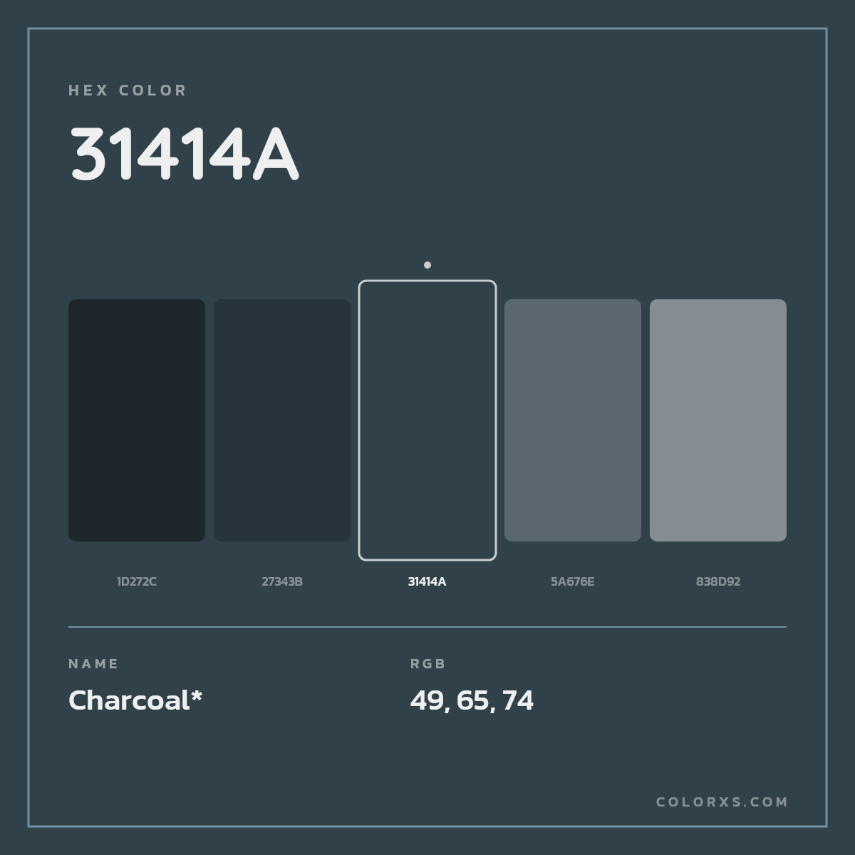 #31414A hex color. RGB, RYB, CMYK, HSL, HSV codes and color conversions. Matching color names, palettes, paints.
