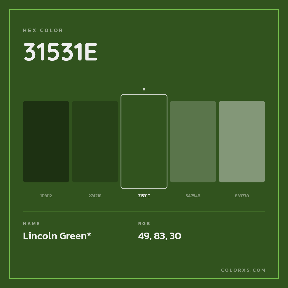 #31531E hex color. RGB, RYB, CMYK, HSL, HSV codes and color conversions. Matching color names, palettes, paints.