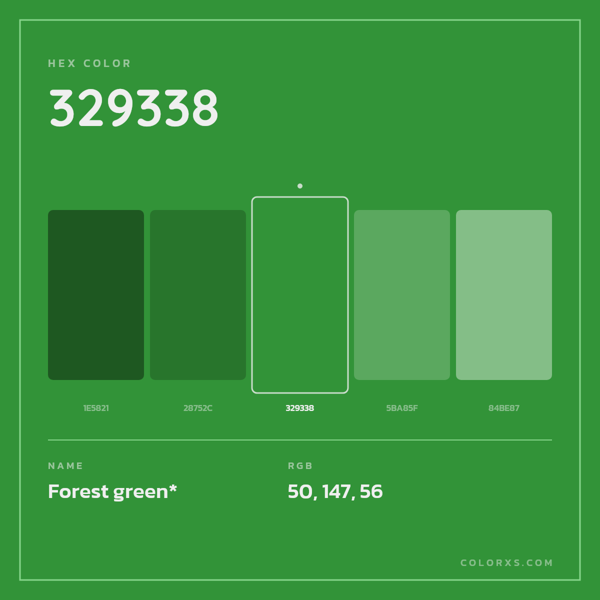#329338 hex color. RGB, RYB, CMYK, HSL, HSV codes and color conversions. Matching color names, palettes, paints.