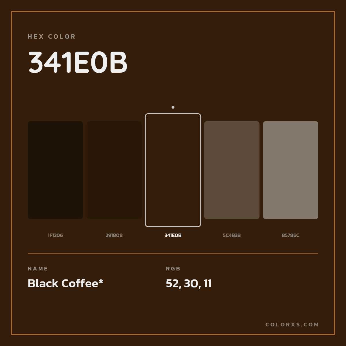 #341E0B hex color. RGB, RYB, CMYK, HSL, HSV codes and color conversions. Matching color names, palettes, paints.