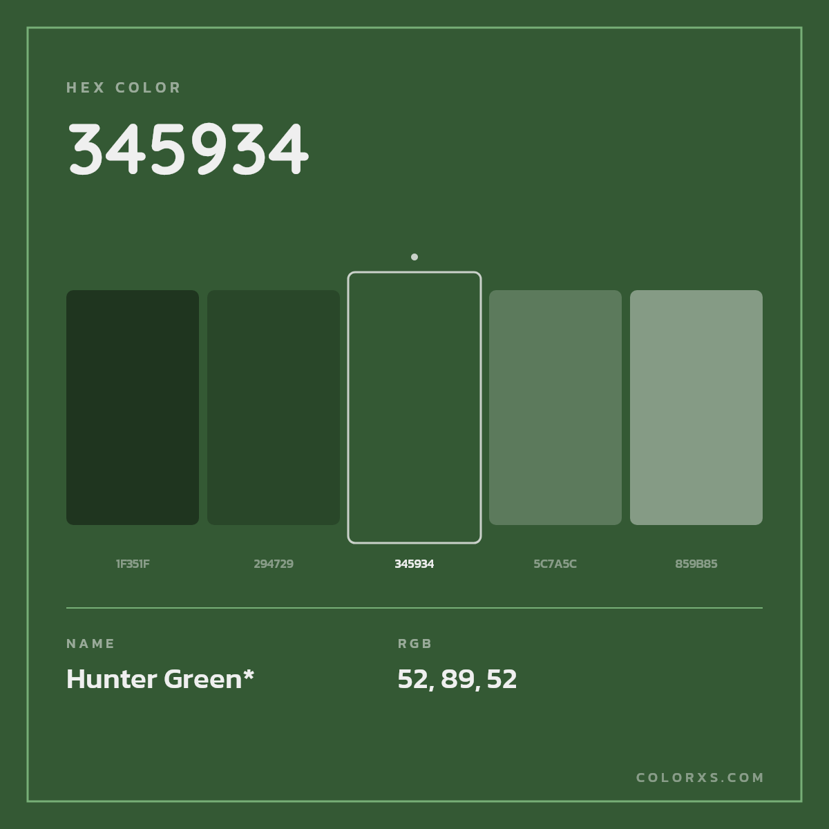 #345934 hex color. RGB, RYB, CMYK, HSL, HSV codes and color conversions. Matching color names, palettes, paints.