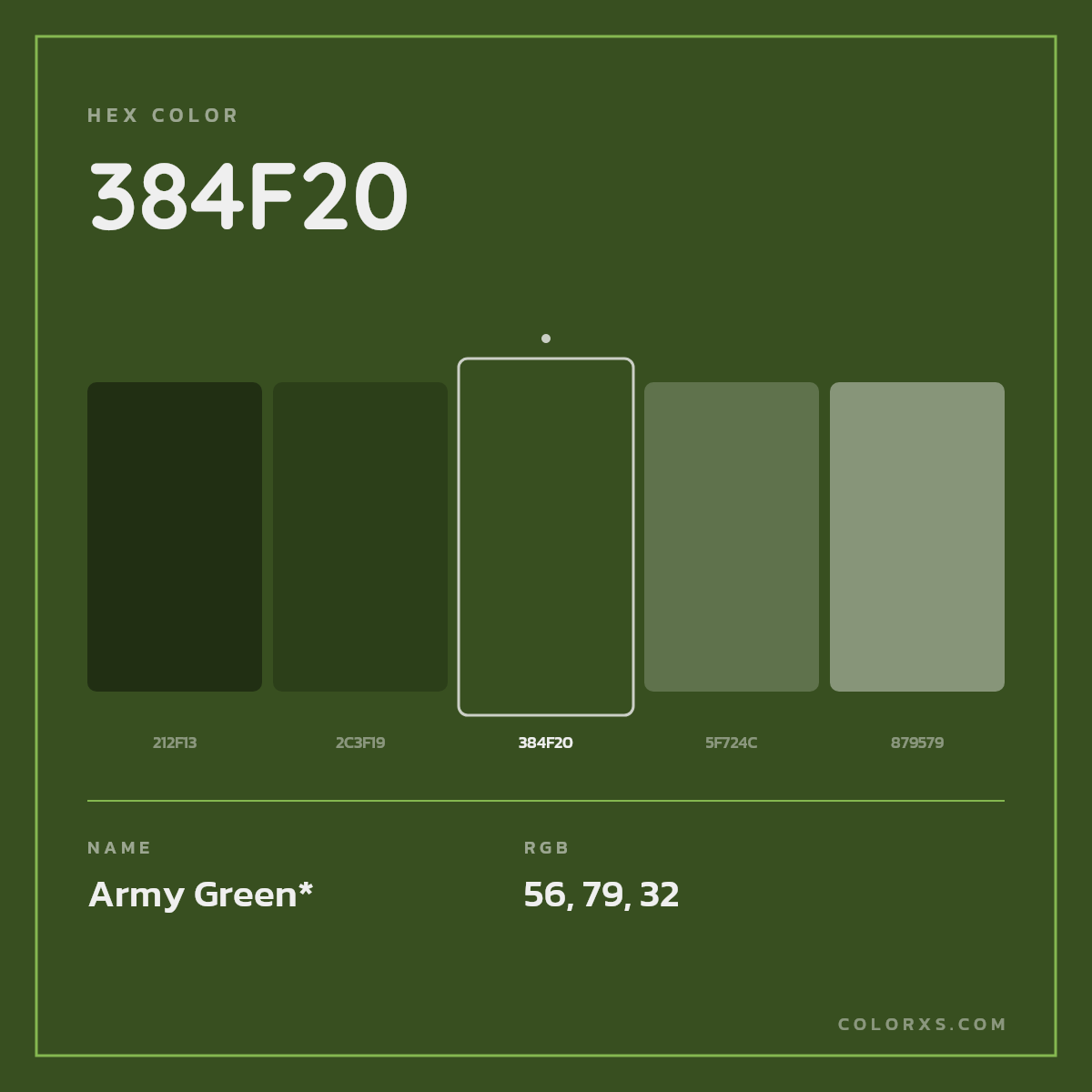 #384F20 hex color. RGB, RYB, CMYK, HSL, HSV codes and color conversions. Matching color names, palettes, paints.
