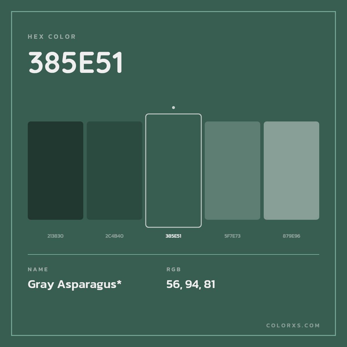 #385E51 hex color. RGB, RYB, CMYK, HSL, HSV codes and color conversions. Matching color names, palettes, paints.