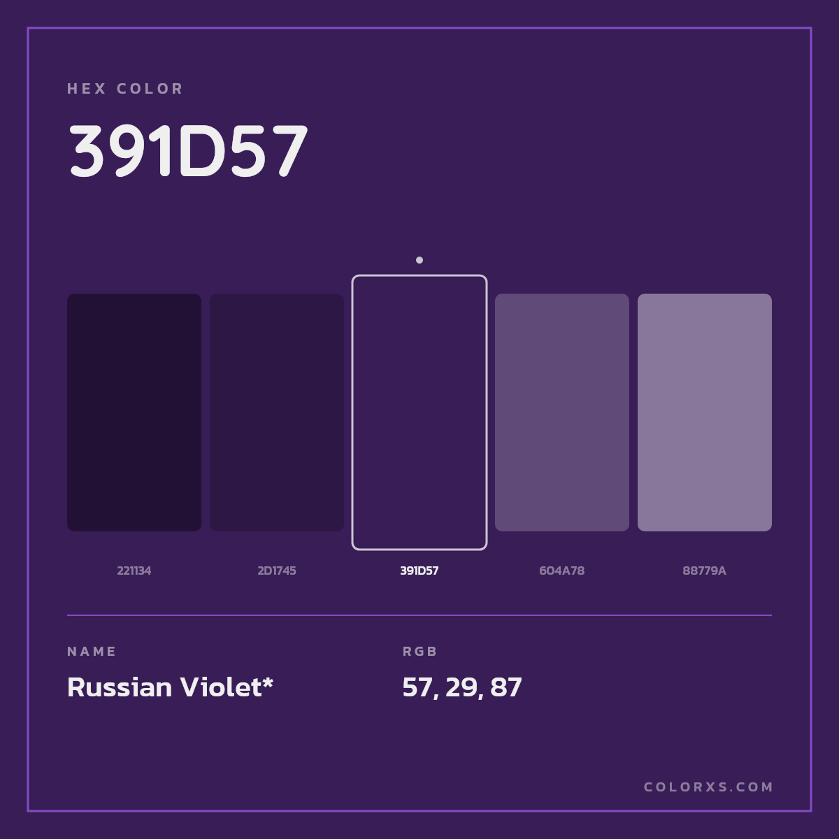 #391D57 hex color. RGB, RYB, CMYK, HSL, HSV codes and color conversions. Matching color names, palettes, paints.