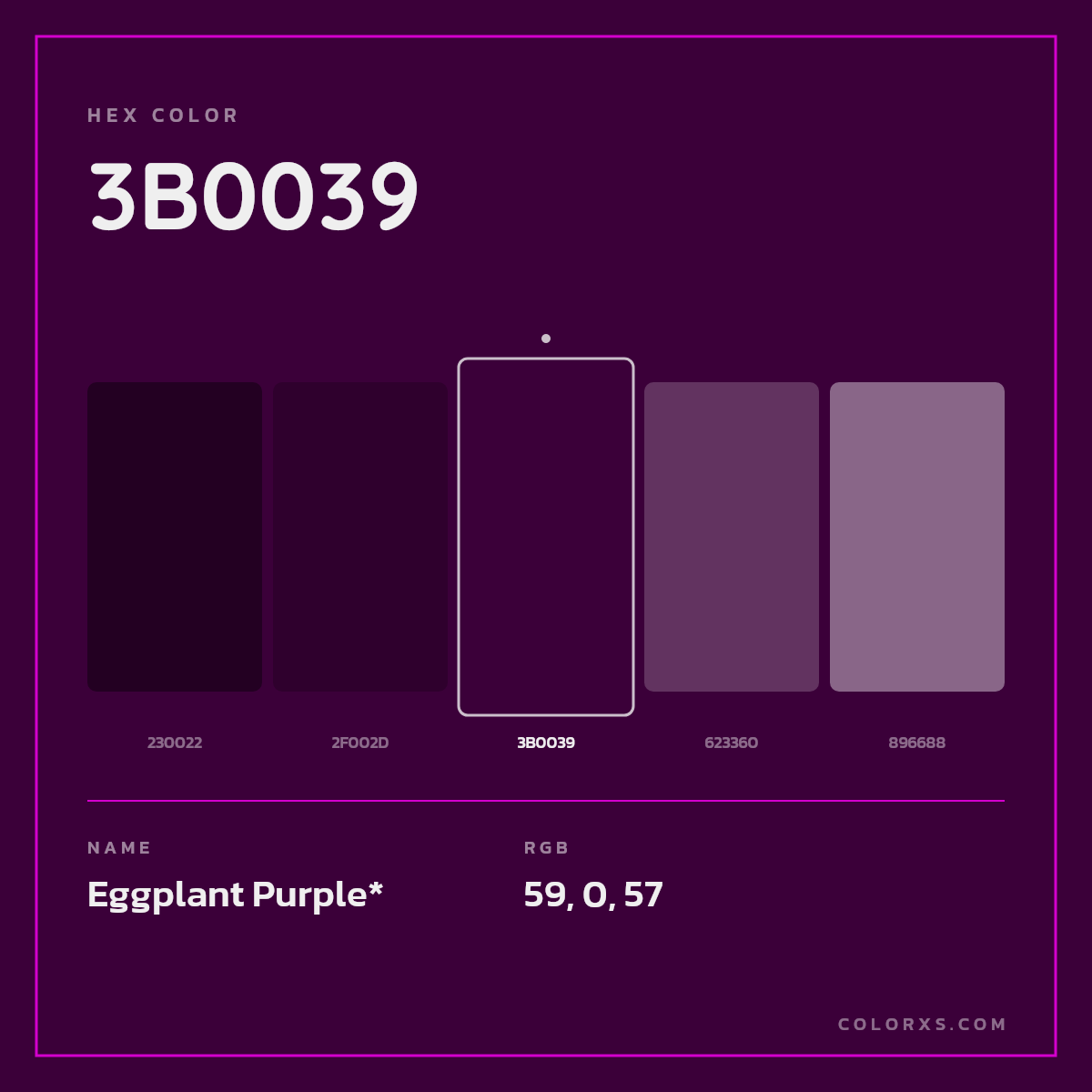 #3B0039 hex color. RGB, RYB, CMYK, HSL, HSV codes and color conversions. Matching color names, palettes, paints.