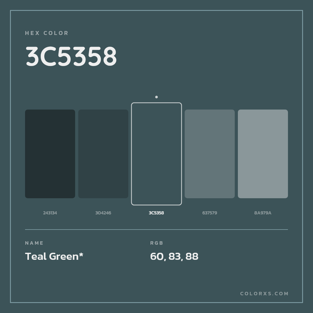 #3C5358 hex color. RGB, RYB, CMYK, HSL, HSV codes and color conversions. Matching color names, palettes, paints.