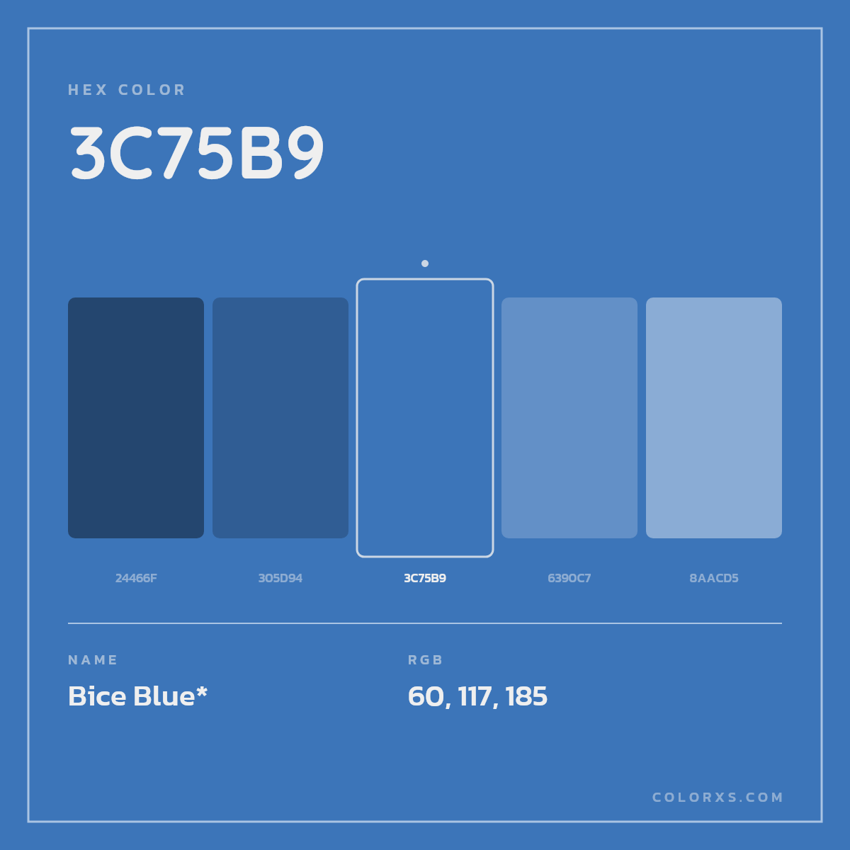 #3C75B9 hex color. RGB, RYB, CMYK, HSL, HSV codes and color conversions. Matching color names, palettes, paints.