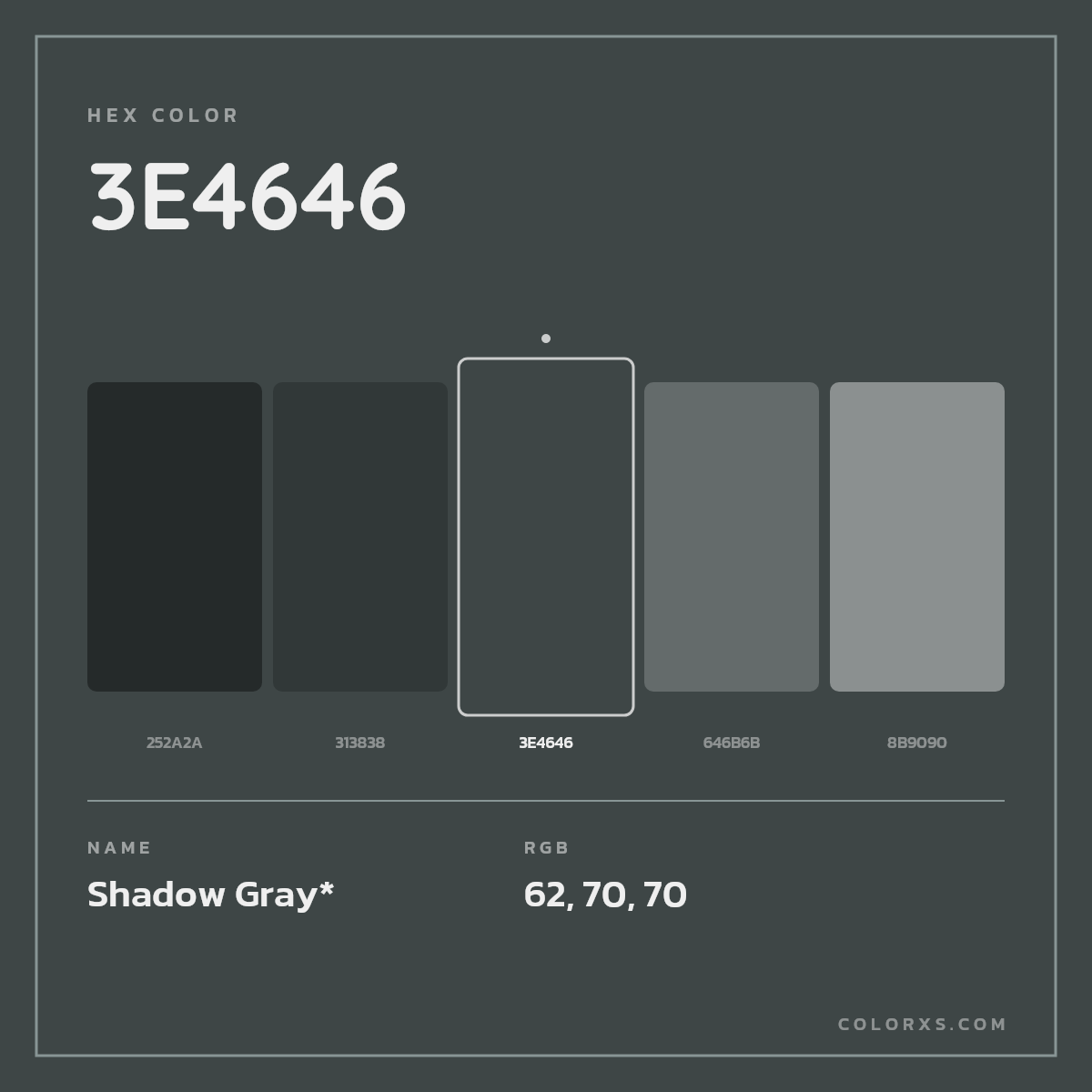 #3E4646 hex color. RGB, RYB, CMYK, HSL, HSV codes and color conversions. Matching color names, palettes, paints.