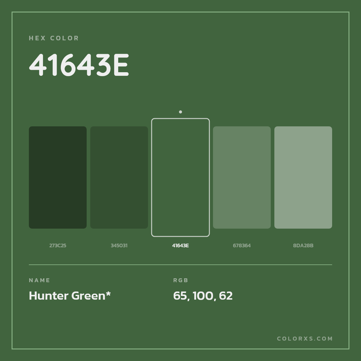 #41643E hex color. RGB, RYB, CMYK, HSL, HSV codes and color conversions. Matching color names, palettes, paints.