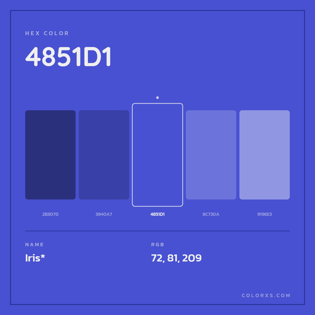 #4851D1 hex color. RGB, RYB, CMYK, HSL, HSV codes and color conversions. Matching color names, palettes, paints.
