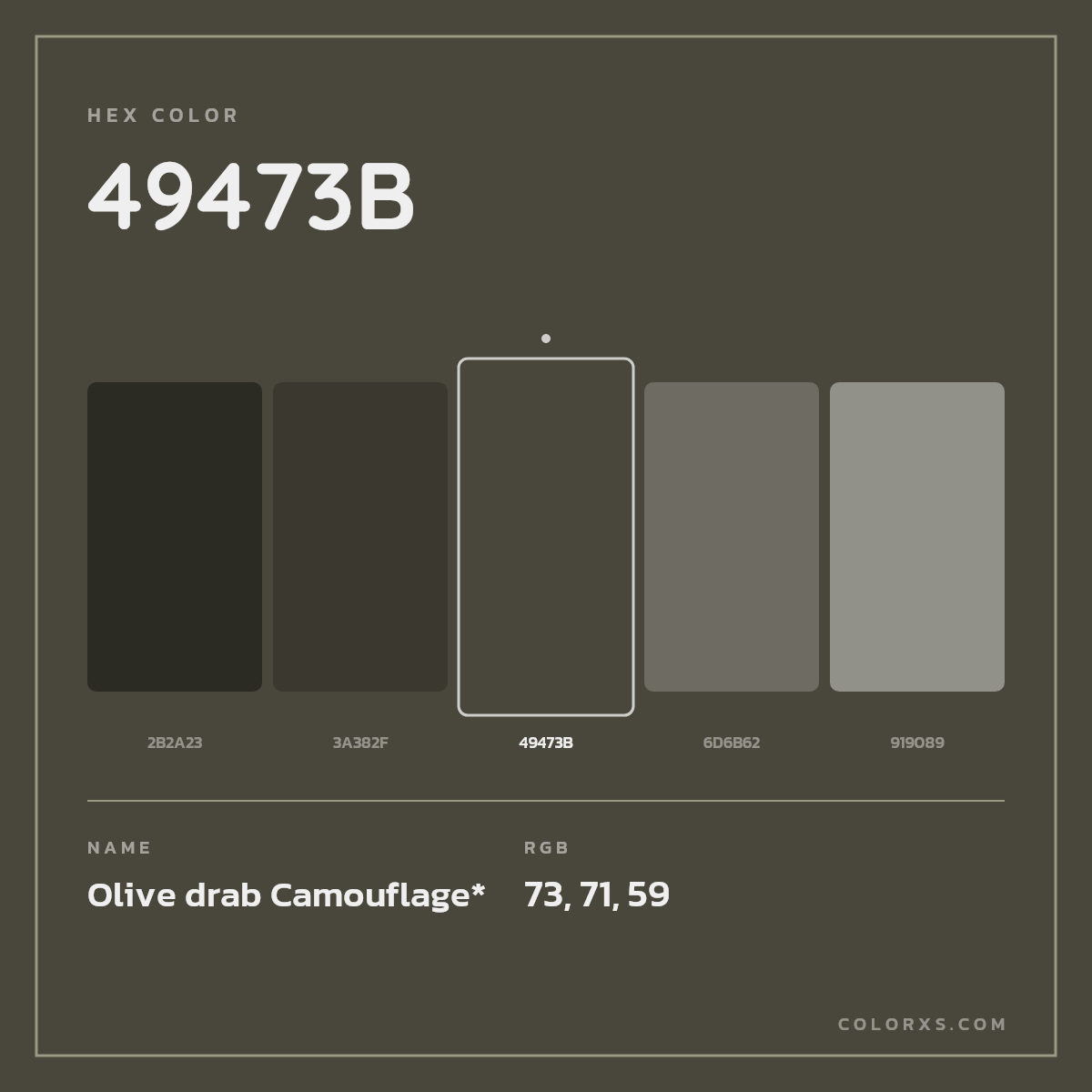 #49473B hex color. RGB, RYB, CMYK, HSL, HSV codes and color conversions. Matching color names, palettes, paints.