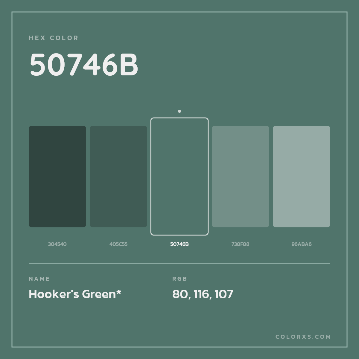 #50746B hex color. RGB, RYB, CMYK, HSL, HSV codes and color conversions. Matching color names, palettes, paints.