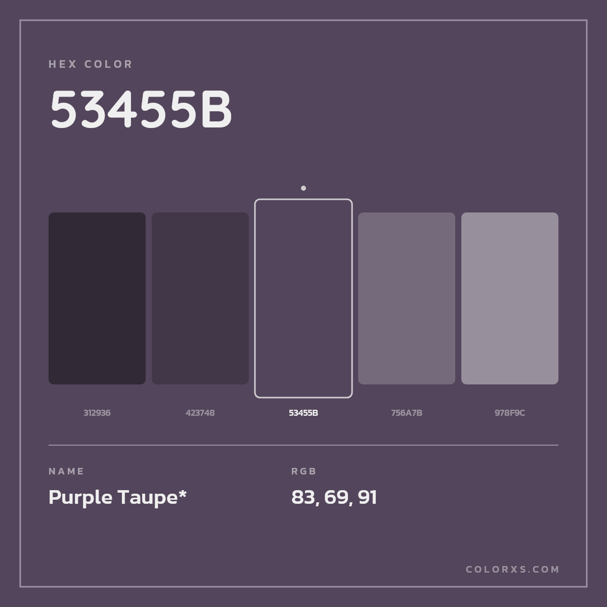 #53455B hex color. RGB, RYB, CMYK, HSL, HSV codes and color conversions. Matching color names, palettes, paints.