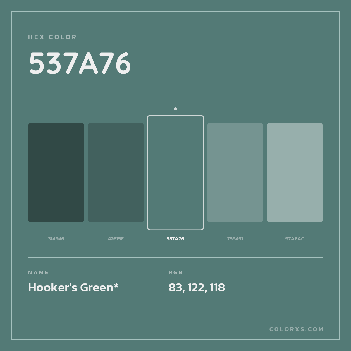 #537A76 hex color. RGB, RYB, CMYK, HSL, HSV codes and color conversions. Matching color names, palettes, paints.
