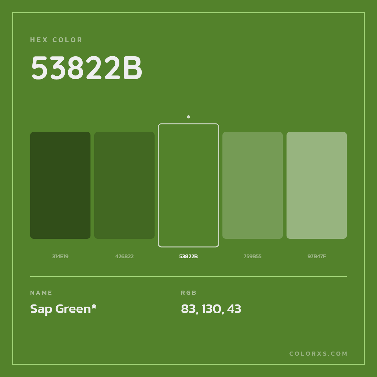 #53822B hex color. RGB, RYB, CMYK, HSL, HSV codes and color conversions. Matching color names, palettes, paints.