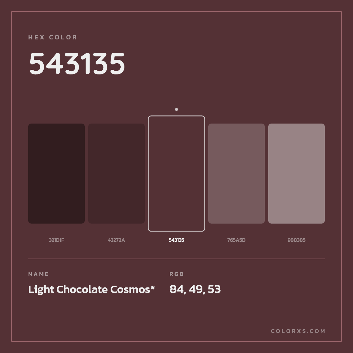 #543135 hex color. RGB, RYB, CMYK, HSL, HSV codes and color conversions. Matching color names, palettes, paints.