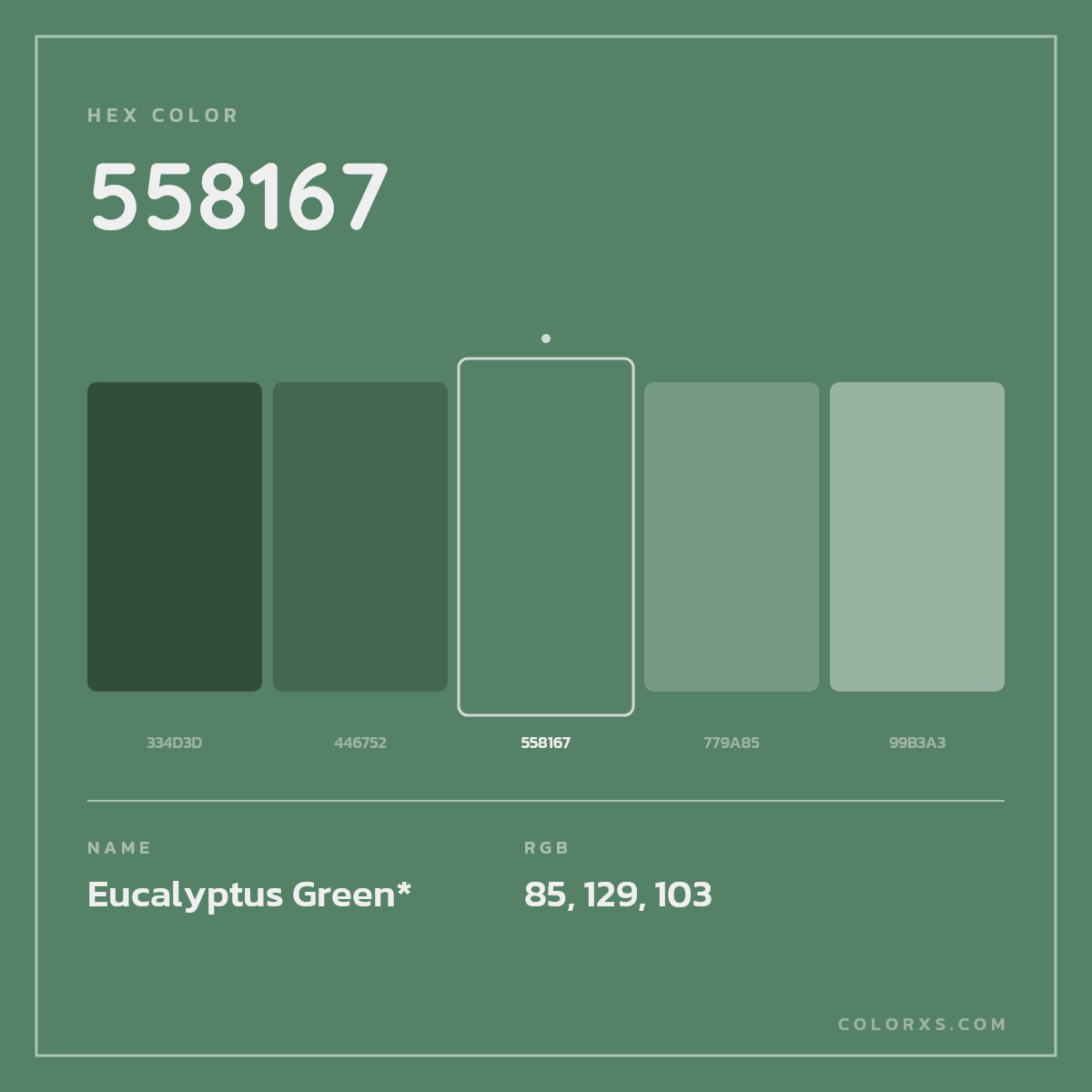 #558167 hex color. RGB, RYB, CMYK, HSL, HSV codes and color conversions. Matching color names, palettes, paints.