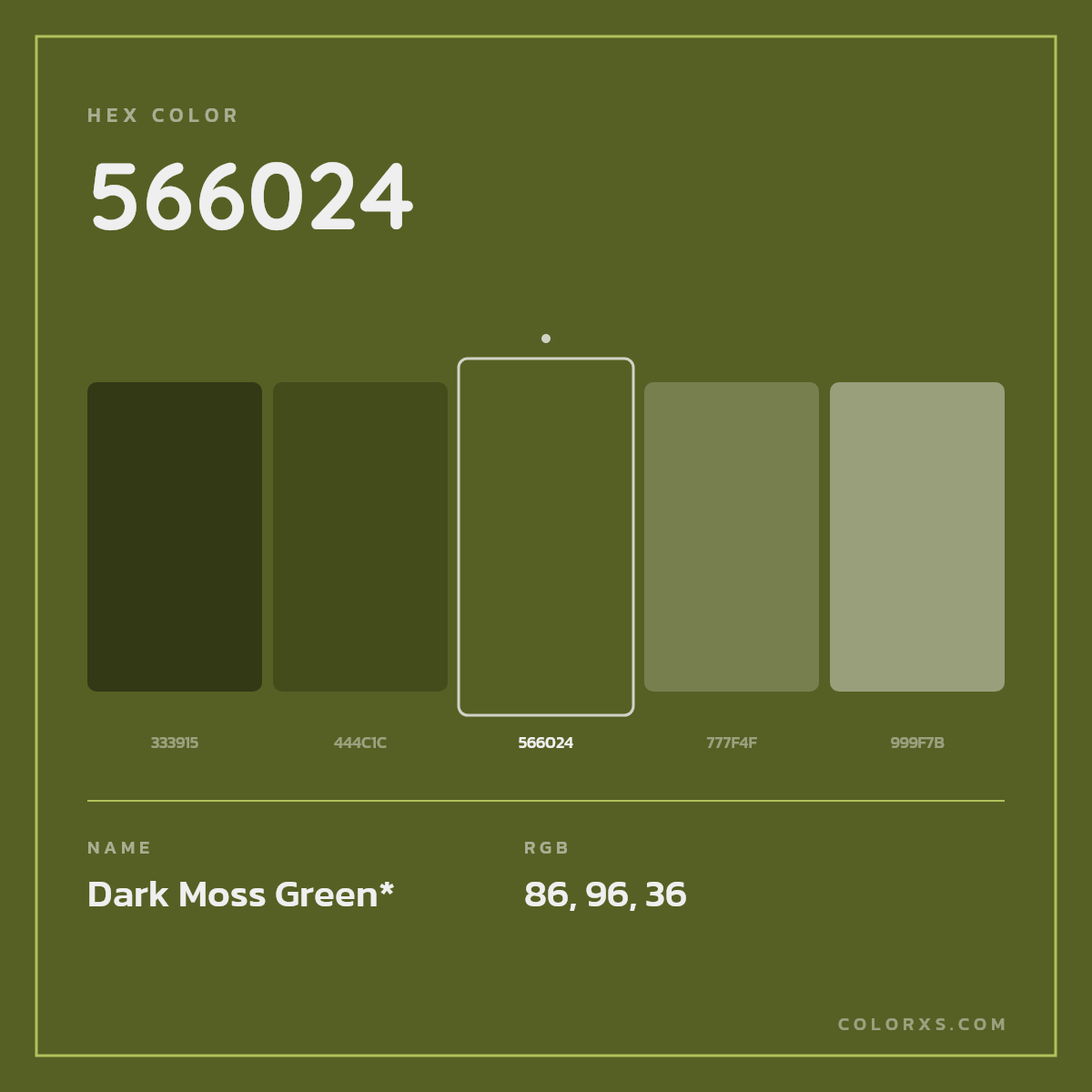 #566024 hex color. RGB, RYB, CMYK, HSL, HSV codes and color conversions. Matching color names, palettes, paints.