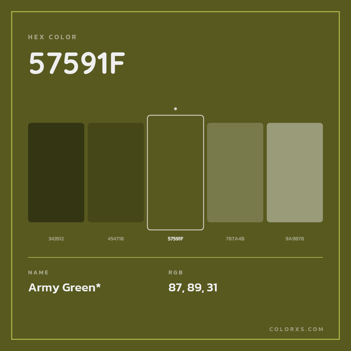 #57591F hex color. RGB, RYB, CMYK, HSL, HSV codes and color conversions. Matching color names, palettes, paints.
