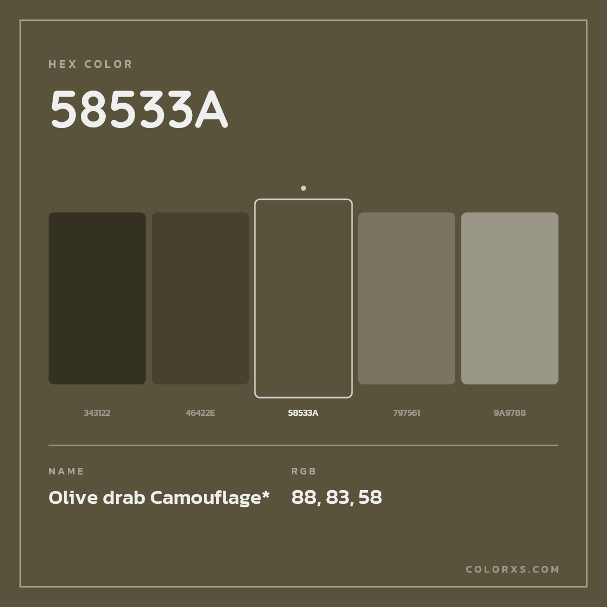 #58533A hex color. RGB, RYB, CMYK, HSL, HSV codes and color conversions. Matching color names, palettes, paints.