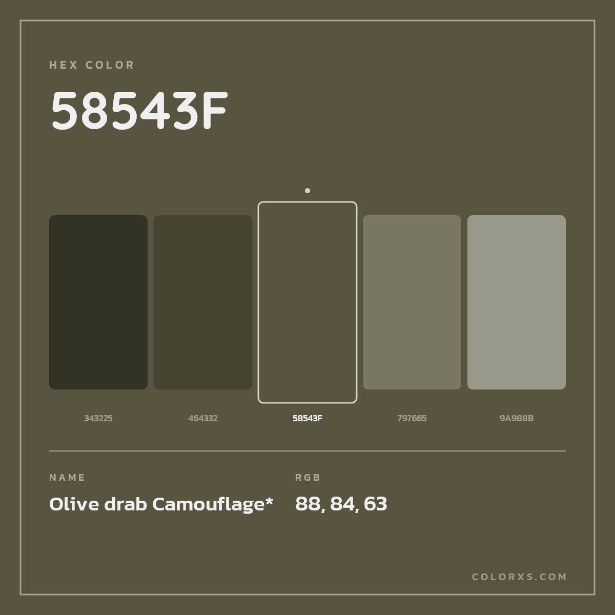 #58543F hex color. RGB, RYB, CMYK, HSL, HSV codes and color conversions. Matching color names, palettes, paints.