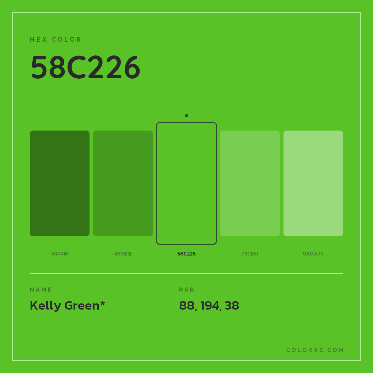 #58C226 hex color. RGB, RYB, CMYK, HSL, HSV codes and color conversions. Matching color names, palettes, paints.