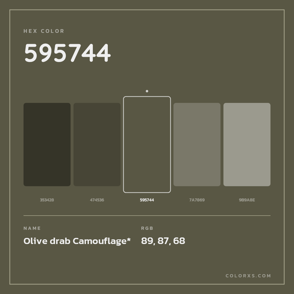 #595744 hex color. RGB, RYB, CMYK, HSL, HSV codes and color conversions. Matching color names, palettes, paints.