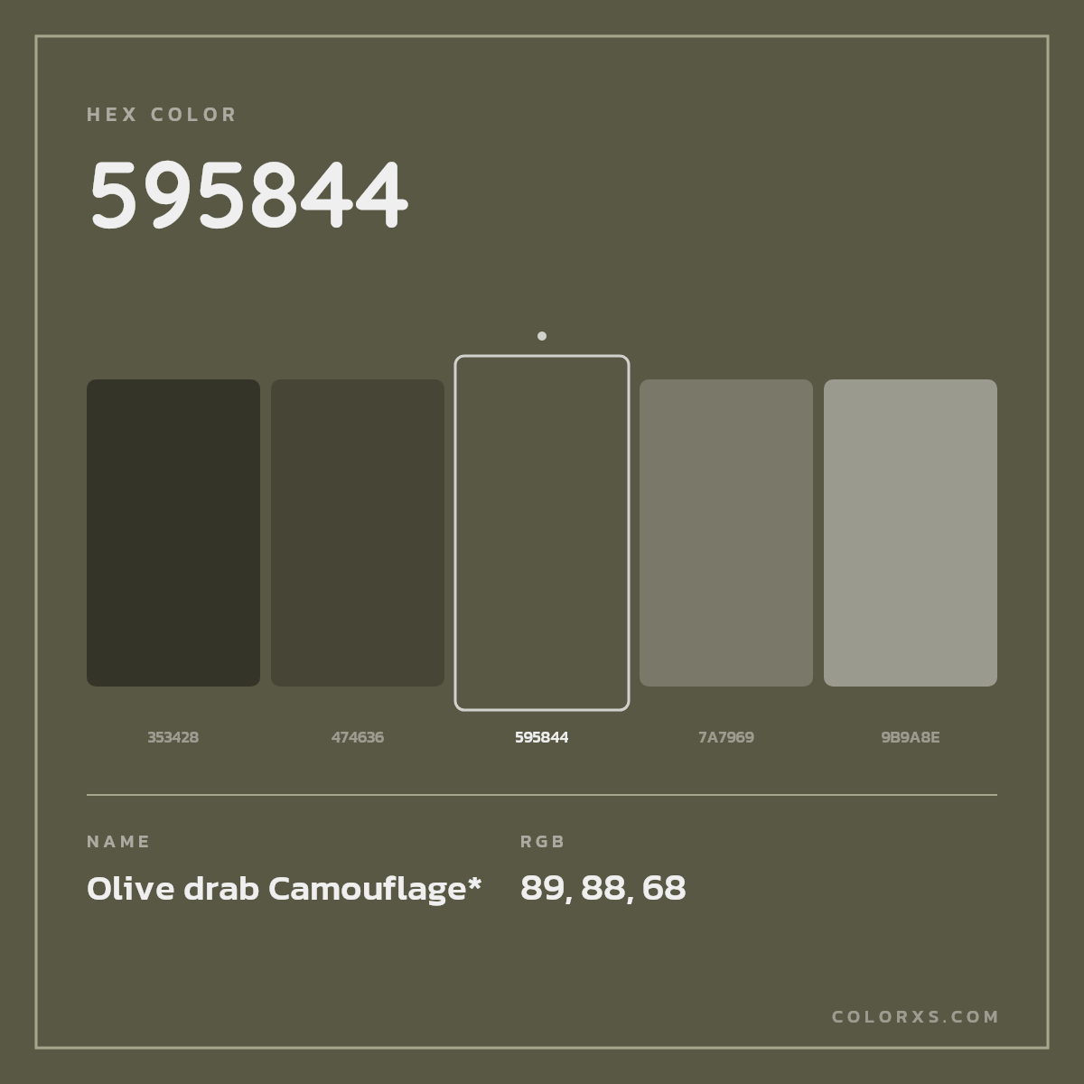 #595844 hex color. RGB, RYB, CMYK, HSL, HSV codes and color conversions. Matching color names, palettes, paints.