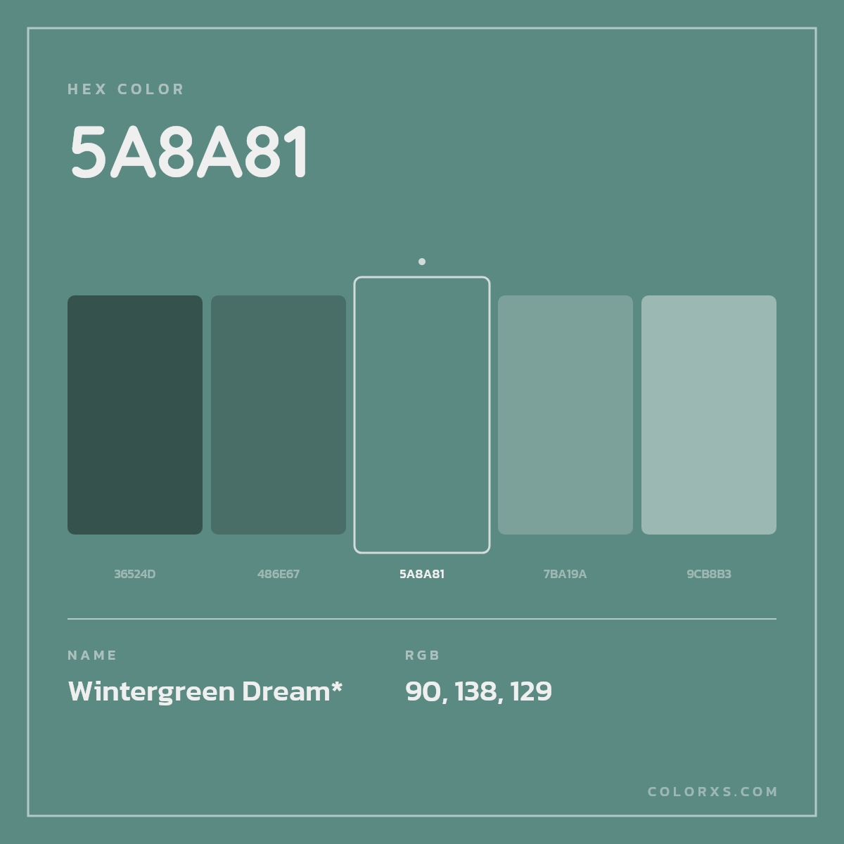 #5A8A81 hex color. RGB, RYB, CMYK, HSL, HSV codes and color conversions. Matching color names, palettes, paints.