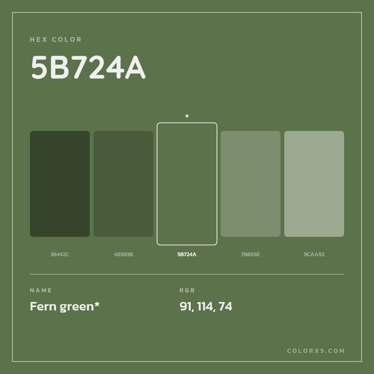 #5B724A hex color. RGB, RYB, CMYK, HSL, HSV codes and color conversions. Matching color names, palettes, paints.
