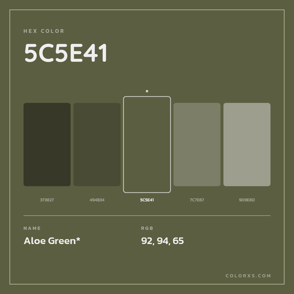 #5C5E41 hex color. RGB, RYB, CMYK, HSL, HSV codes and color conversions. Matching color names, palettes, paints.