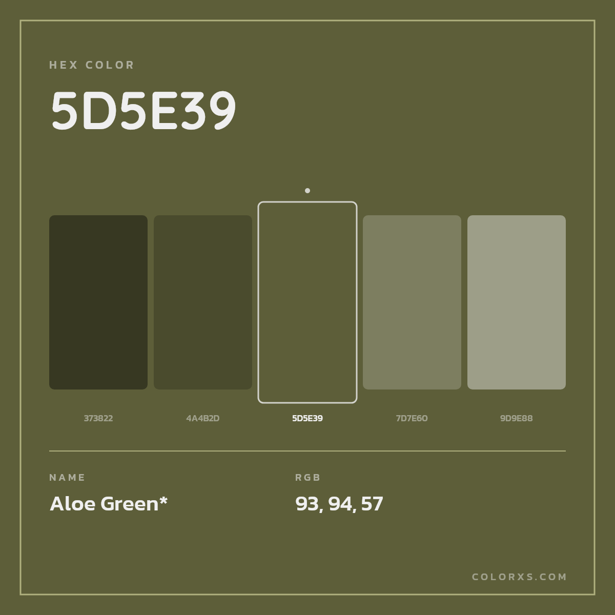 #5D5E39 hex color. RGB, RYB, CMYK, HSL, HSV codes and color conversions. Matching color names, palettes, paints.