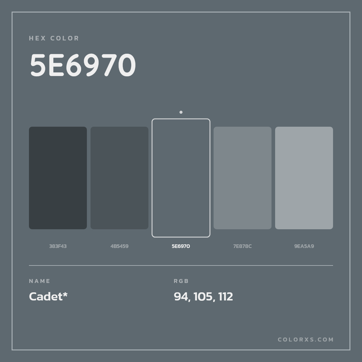 #5E6970 hex color. RGB, RYB, CMYK, HSL, HSV codes and color conversions. Matching color names, palettes, paints.